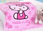CARTOON BLANKET
